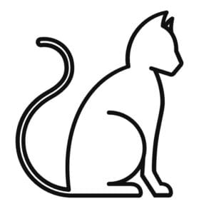 Cat Insurance logo in white